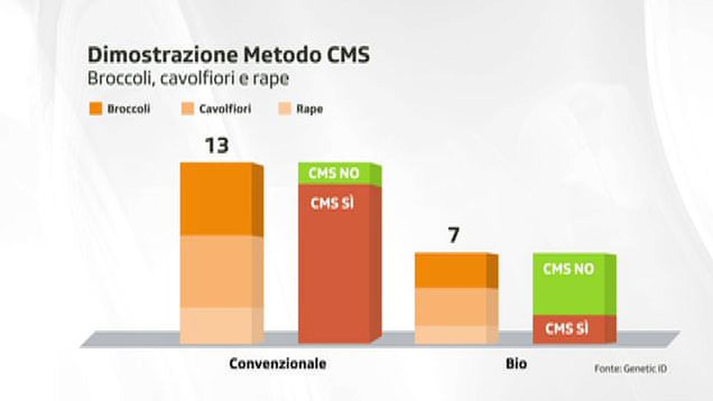 test cms