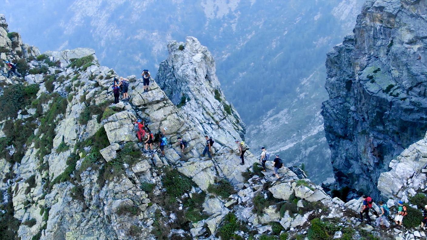 CamminoCrinale