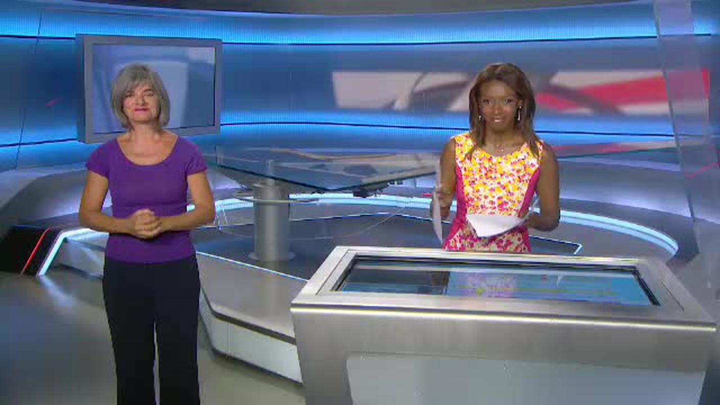  TELEGIORNALE FLASH 18:00  [La1] 2017-07-28 18:00:00