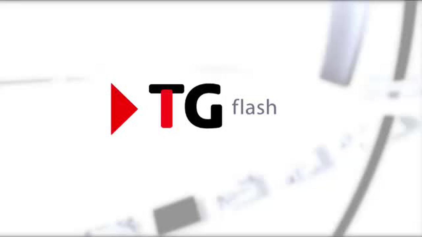  TELEGIORNALE FLASH 16:00  [La1] 2017-11-11 16:00:00