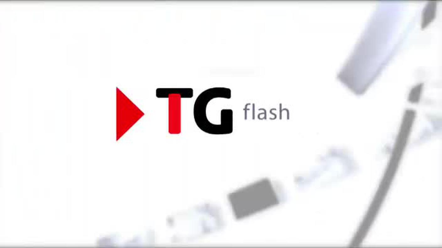 TELEGIORNALE FLASH 16:00  [La1] 2018-12-07 16:00:00