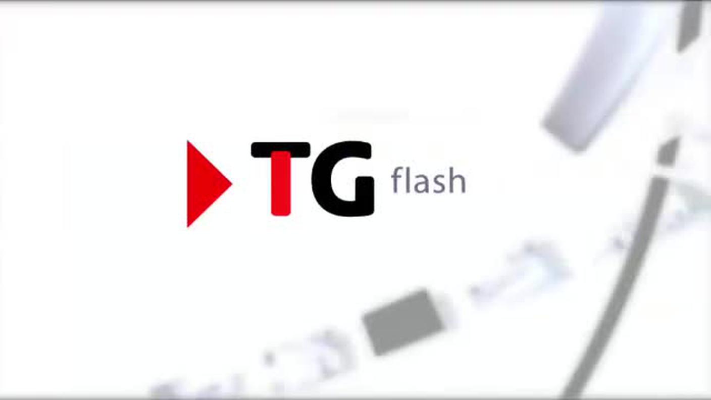 TELEGIORNALE FLASH 16:00  [La1] 2018-12-22 16:00:00