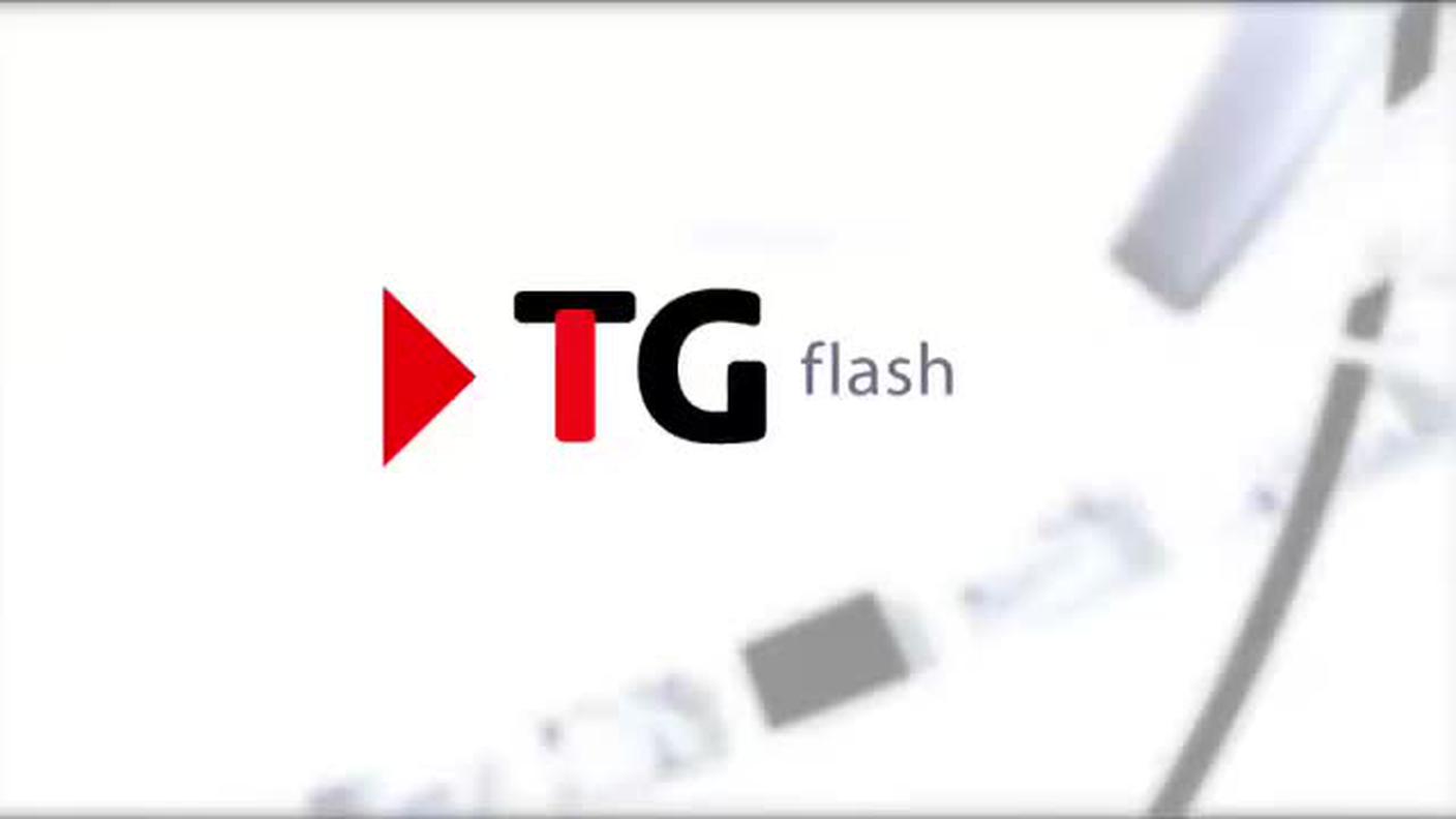 TELEGIORNALE FLASH 16:00  [La1] 2019-01-06 16:00:00