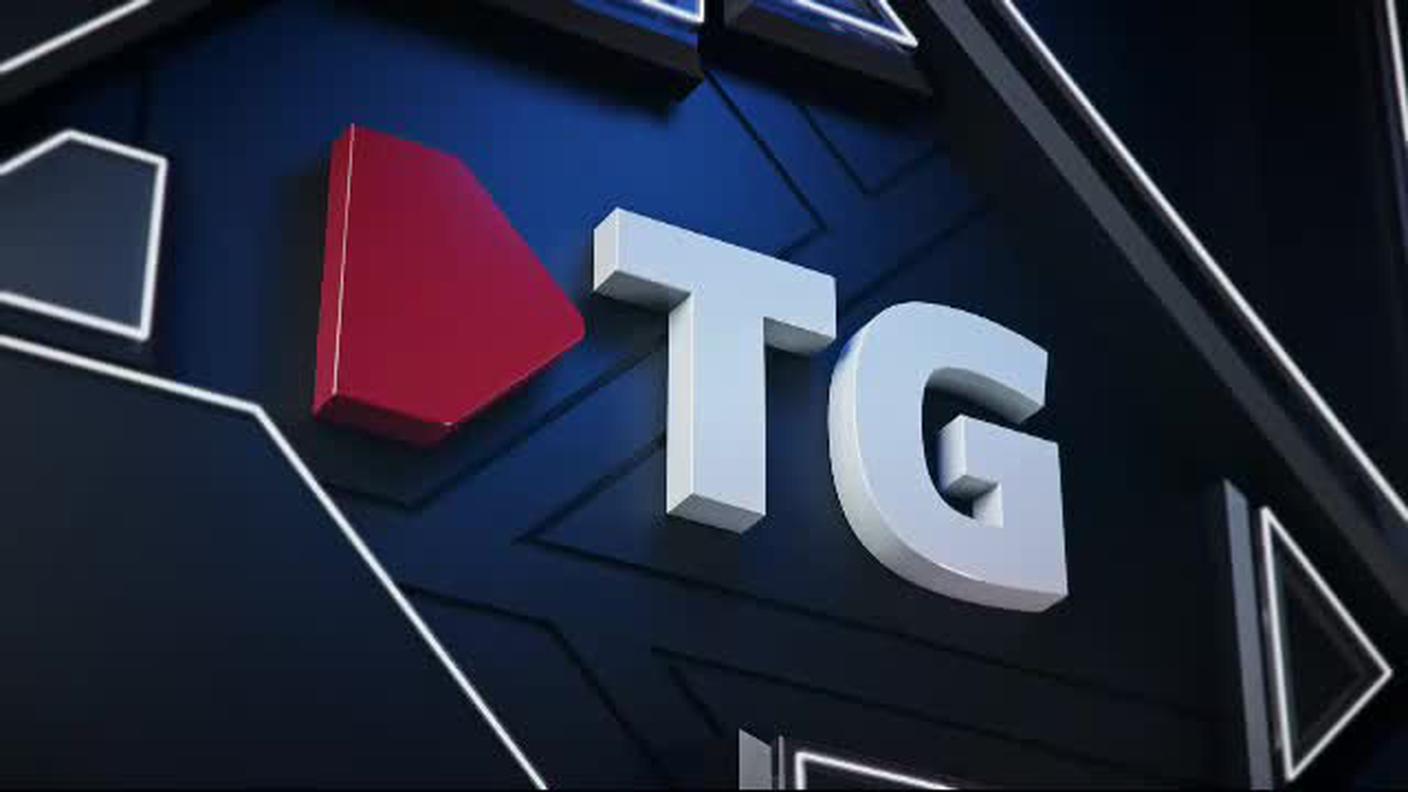 TELEGIORNALE FLASH 16:00  [La1] 2019-01-30 16:00:00