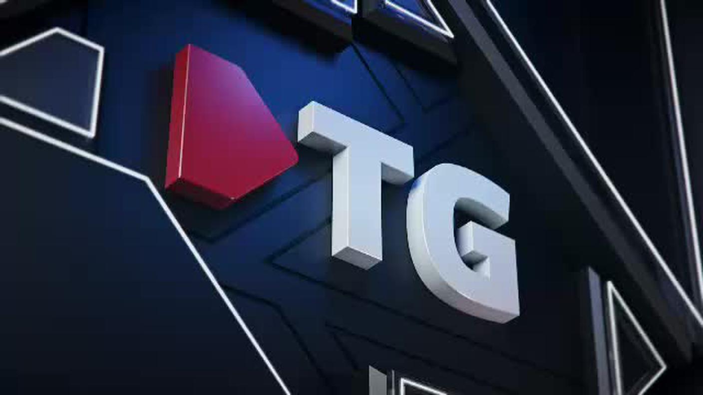 TELEGIORNALE FLASH 16:00  [La1] 2019-03-25 16:00:00