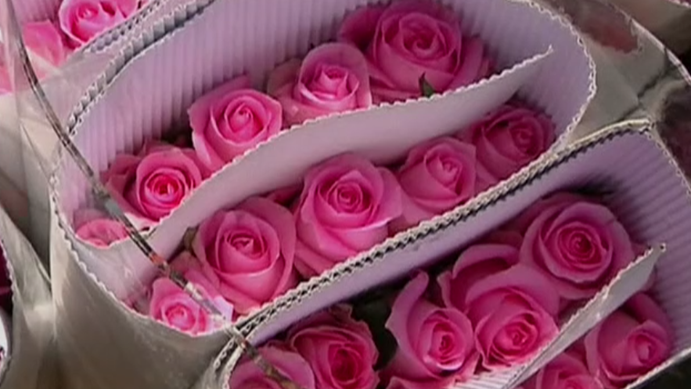 san valentino.JPG