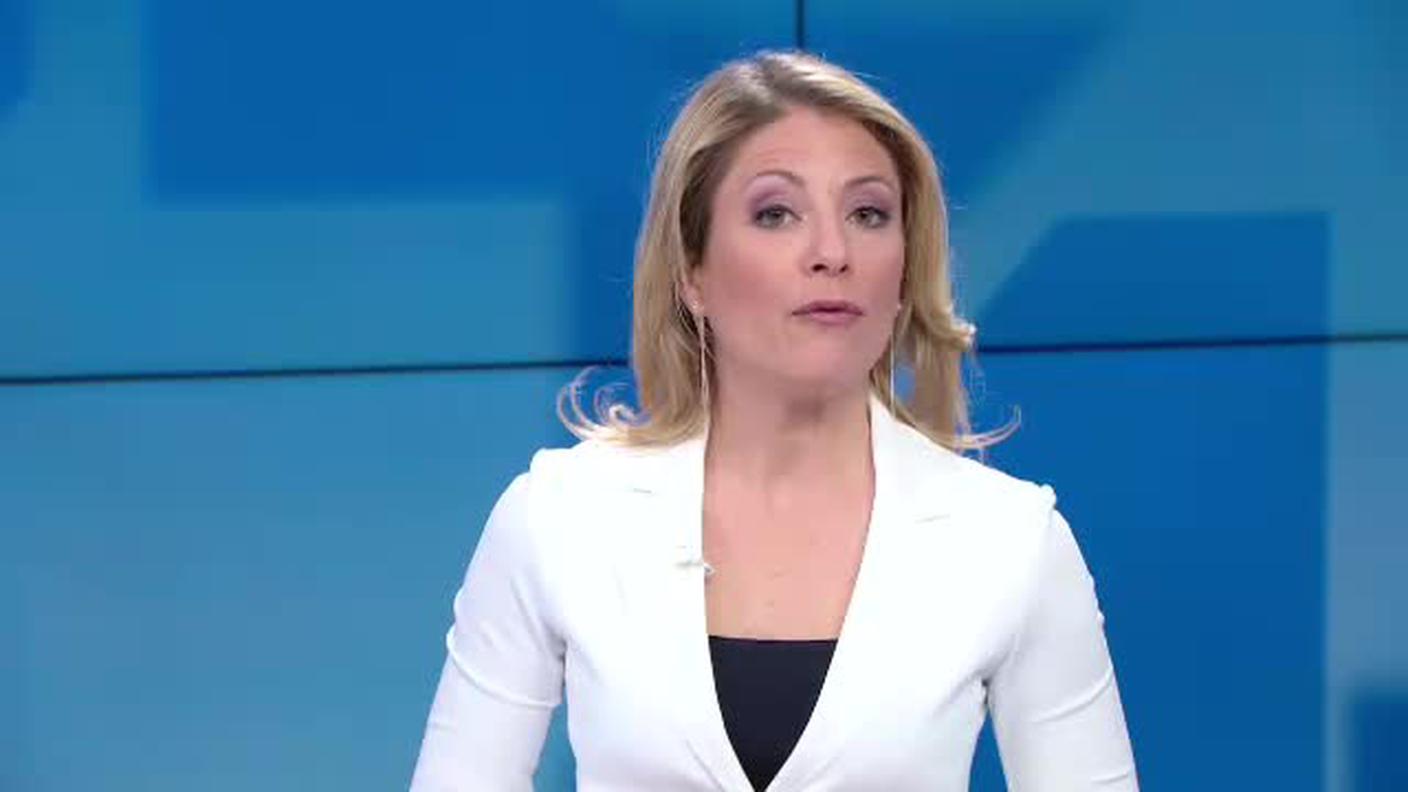 TELEGIORNALE  [La1] 2019-03-31 20:00:11