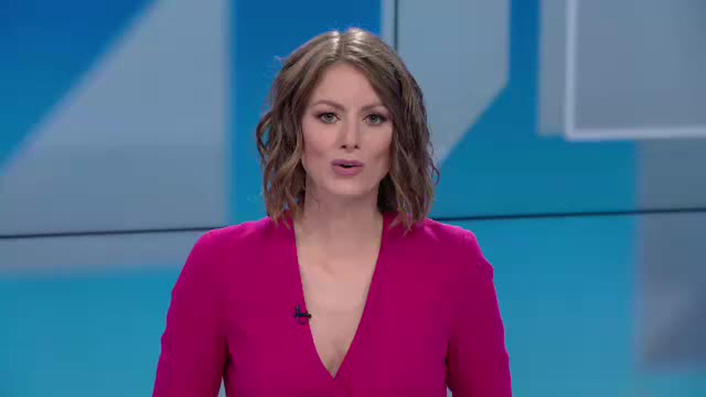 TELEGIORNALE 12:30  [La1] 2019-06-23 12:30:00