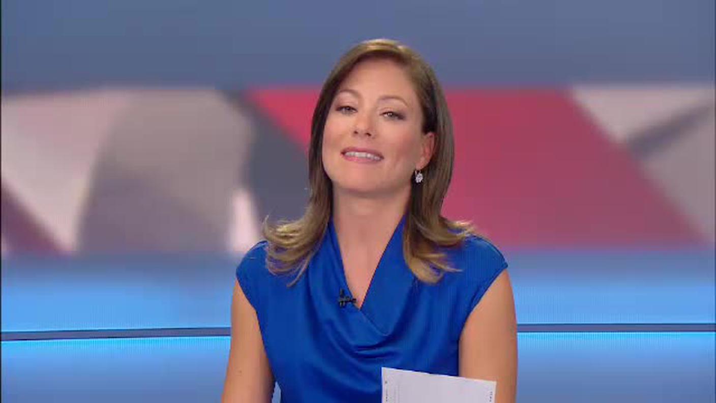 TELEGIORNALE  [La1] 2015-06-07 20:00:11