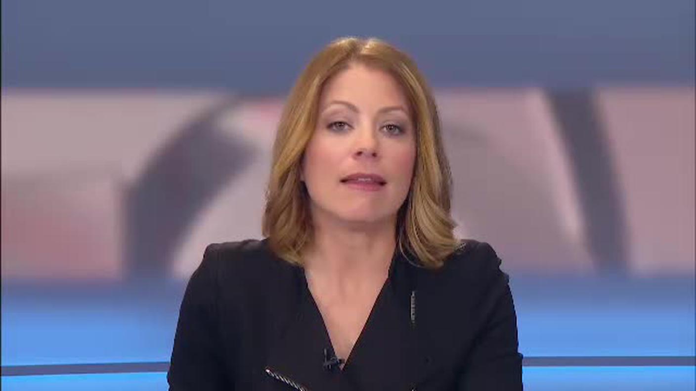  TELEGIORNALE  [La1] 2016-03-22 20:00:11