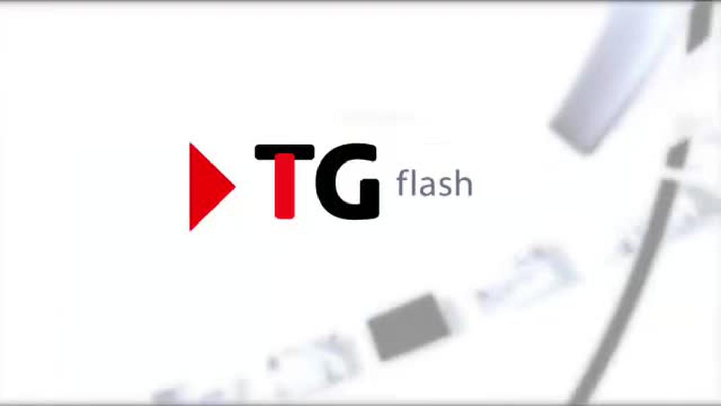  TELEGIORNALE FLASH 16:00  [La1] 2016-03-24 16:00:00