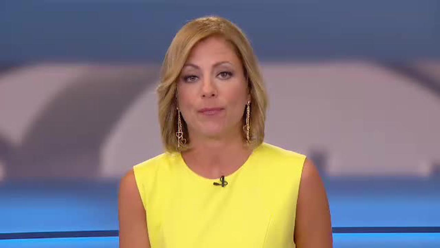  TELEGIORNALE  [La1] 2016-07-30 20:00:11