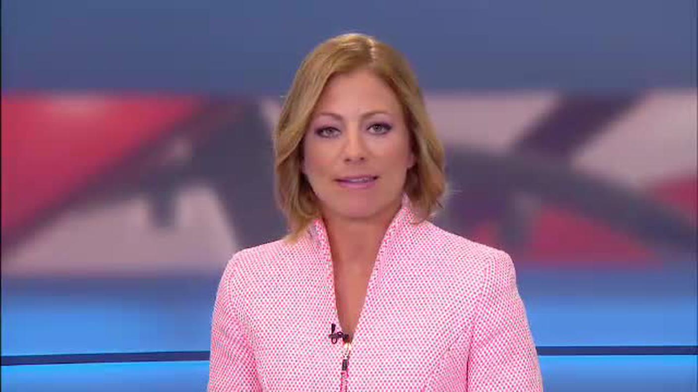  TELEGIORNALE  [La1] 2016-07-31 20:00:11