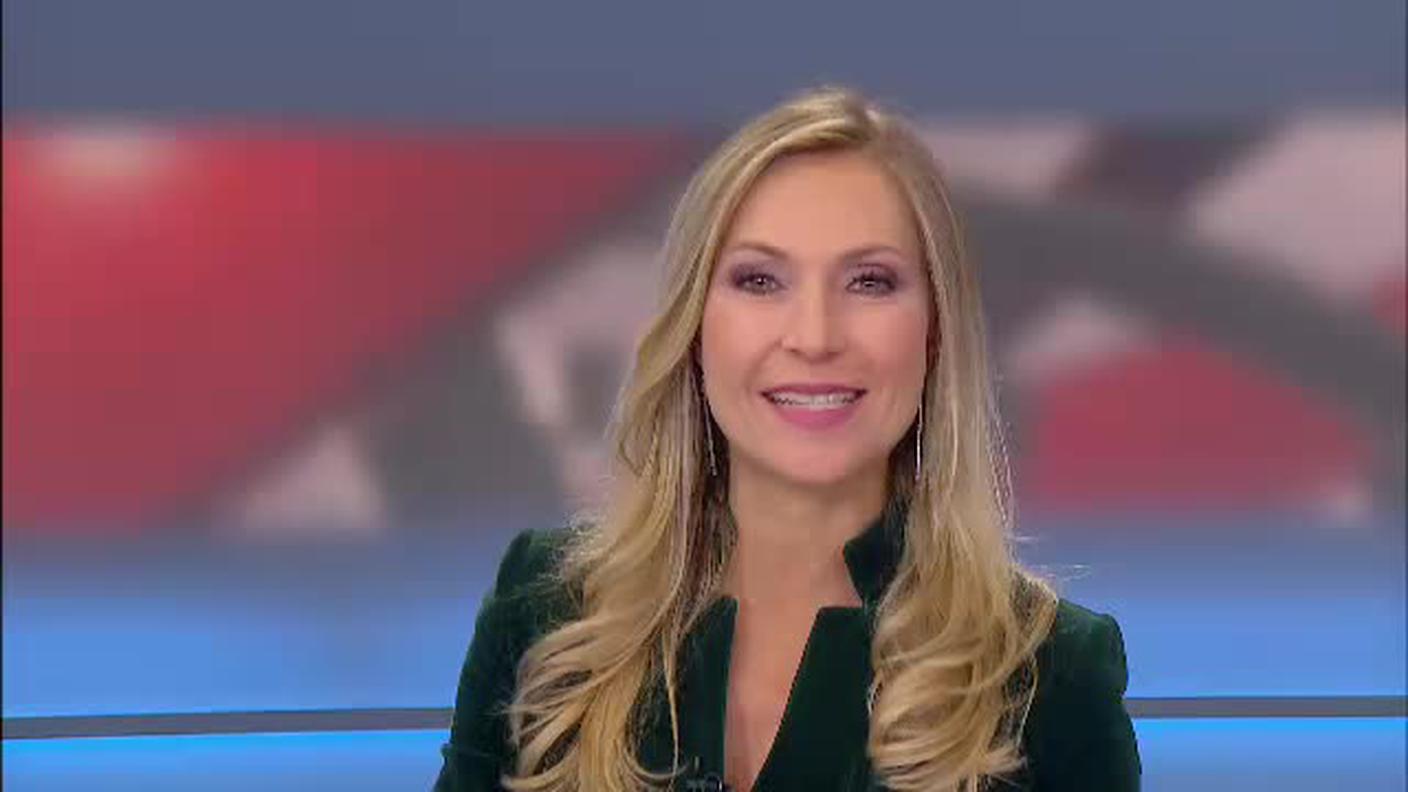  TELEGIORNALE 12:30  [La1] 2016-10-28 12:30:00