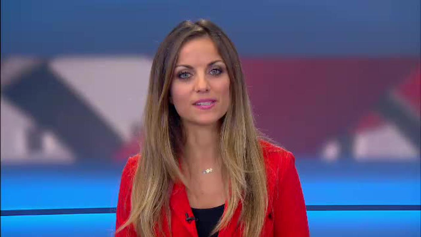  TELEGIORNALE  [La1] 2016-10-31 20:00:11