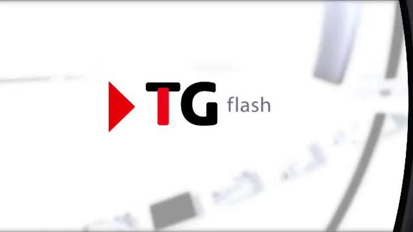  TELEGIORNALE FLASH 16:00  [La1] 2016-11-17 16:00:00