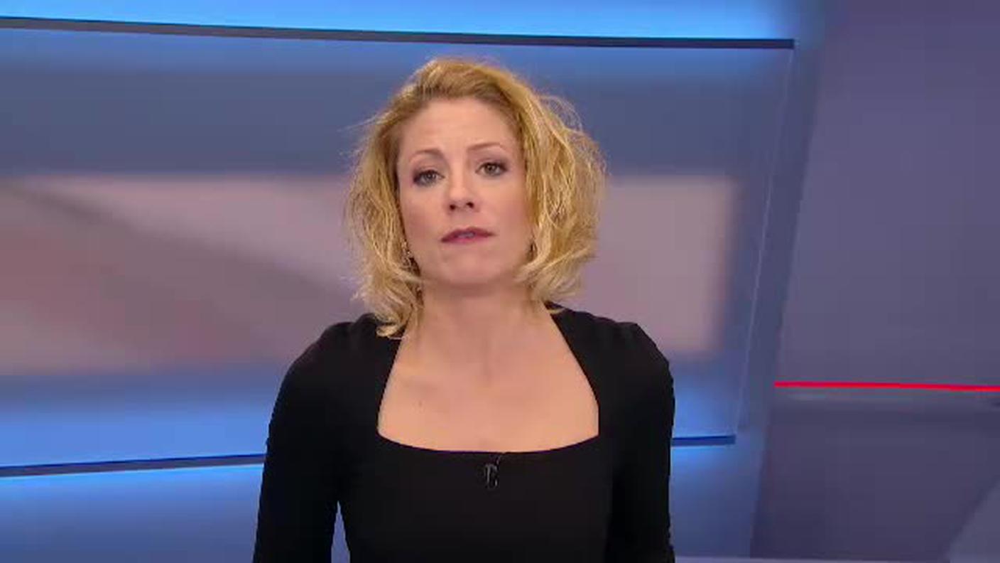  TELEGIORNALE  [La1] 2016-11-18 20:00:11