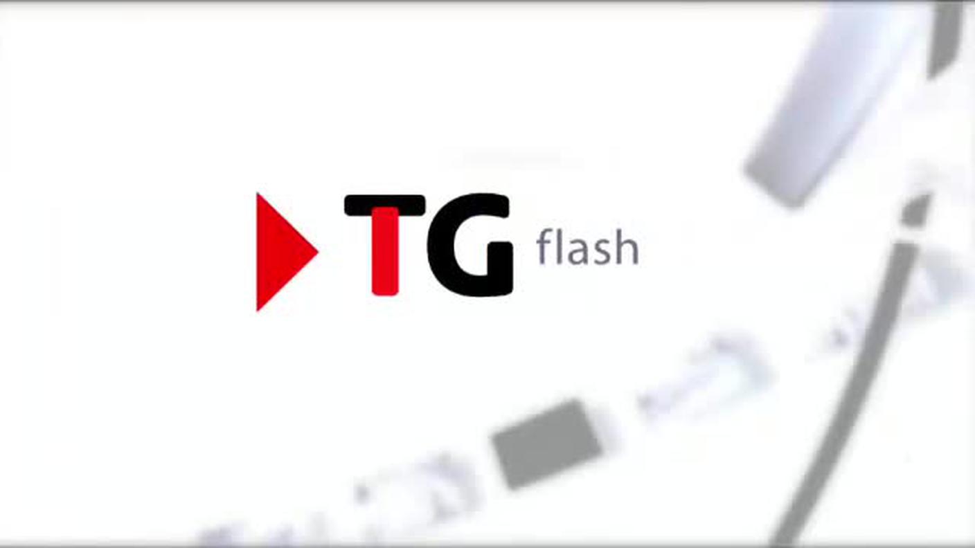  TELEGIORNALE FLASH 16:00  [La1] 2016-11-19 16:00:00