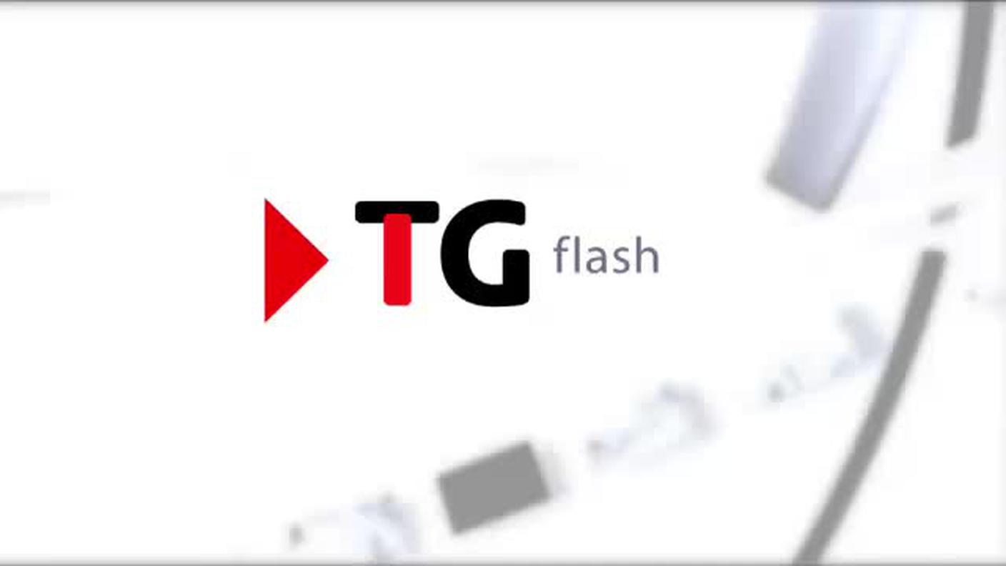  TELEGIORNALE FLASH 16:00  [La1] 2016-11-25 16:00:00