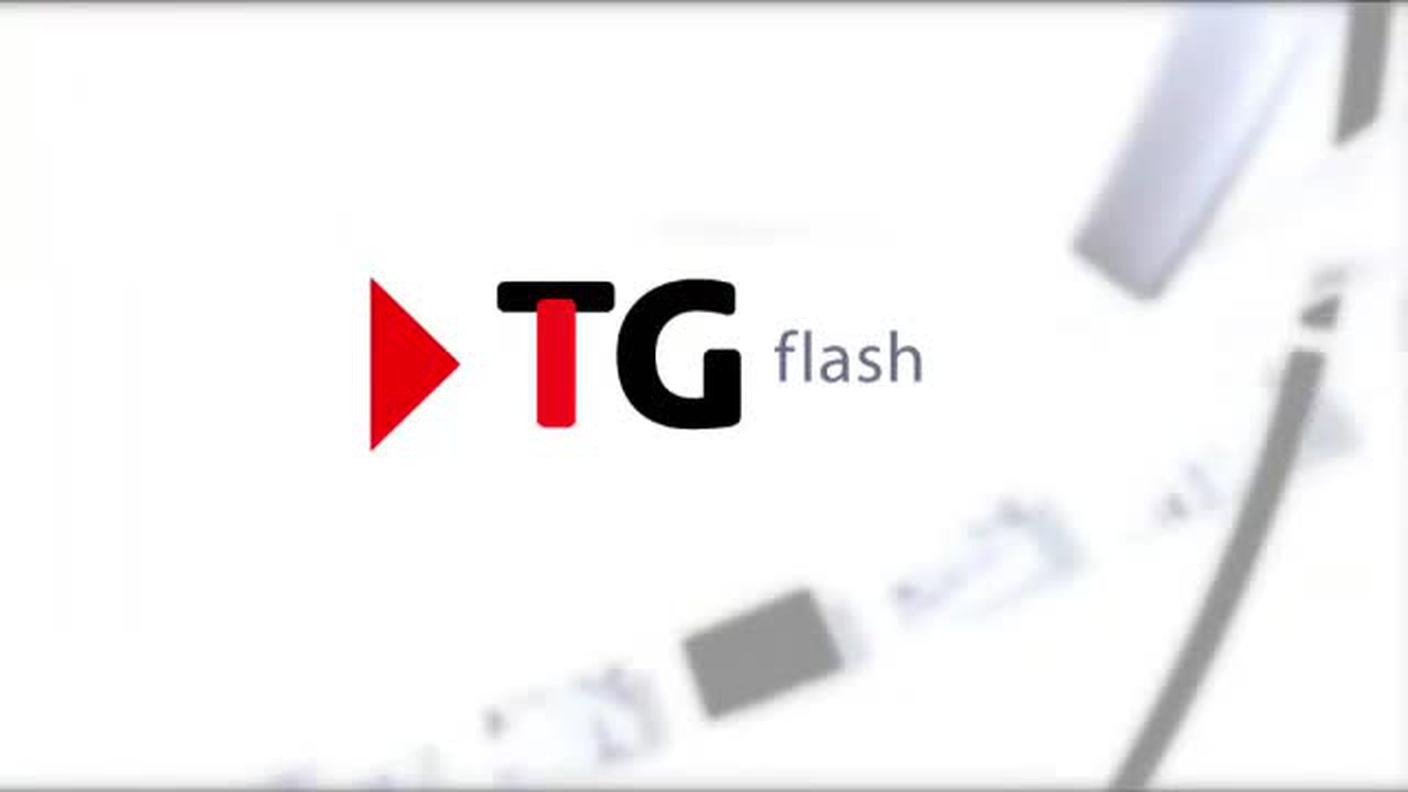  TELEGIORNALE FLASH 16:00  [La1] 2016-11-26 16:00:00