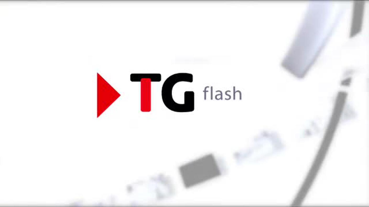  TELEGIORNALE FLASH 16:00  [La1] 2016-11-28 16:00:00