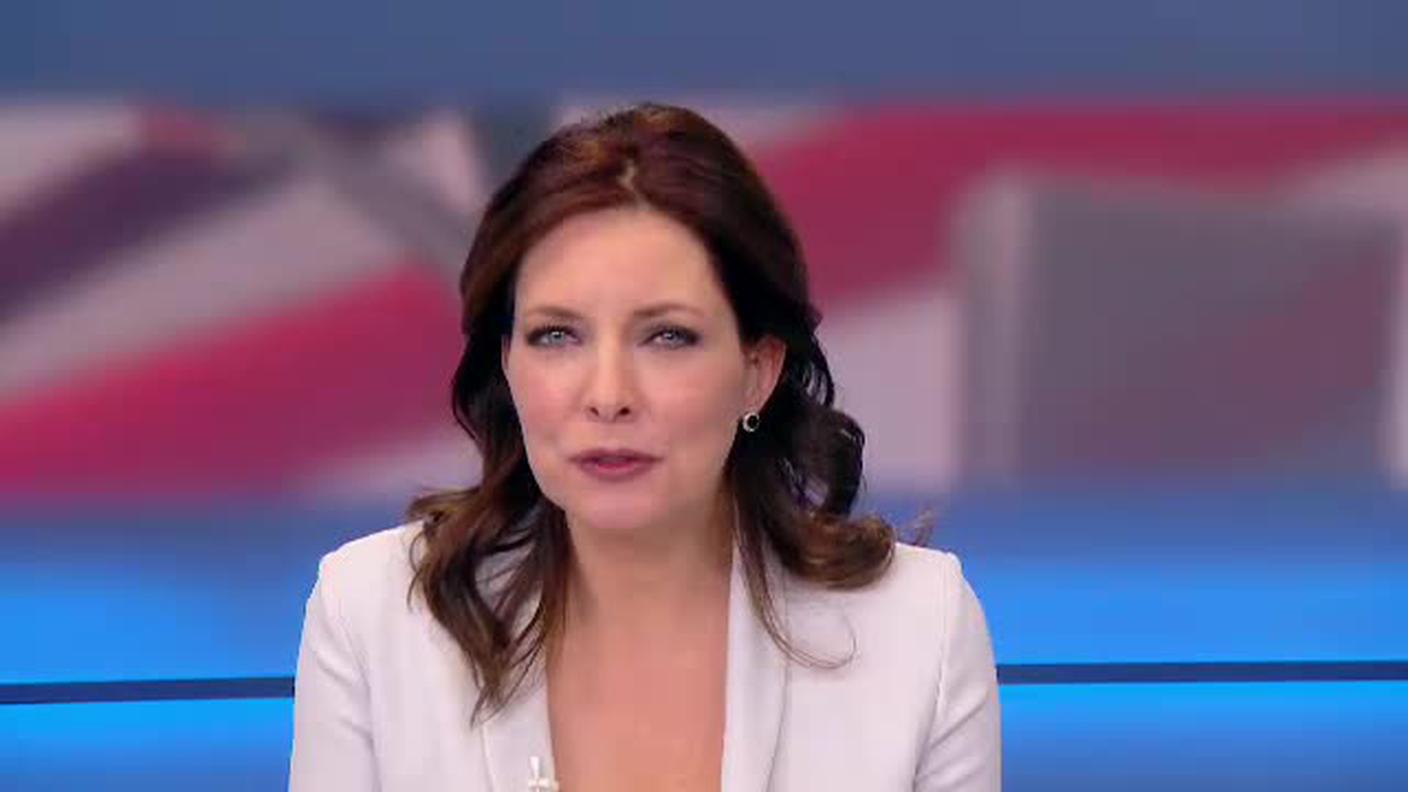  TELEGIORNALE  [La1] 2016-11-30 20:00:11