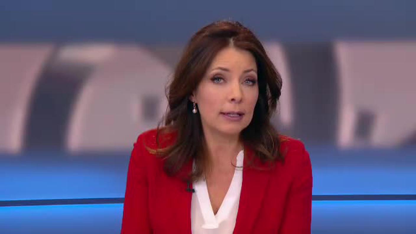  TELEGIORNALE  [La1] 2016-12-10 20:00:11