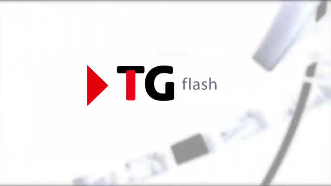  TELEGIORNALE FLASH 16:00  [La1] 2016-12-11 16:00:00