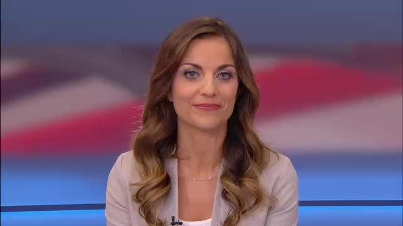  TELEGIORNALE  [La1] 2016-12-20 20:00:11
