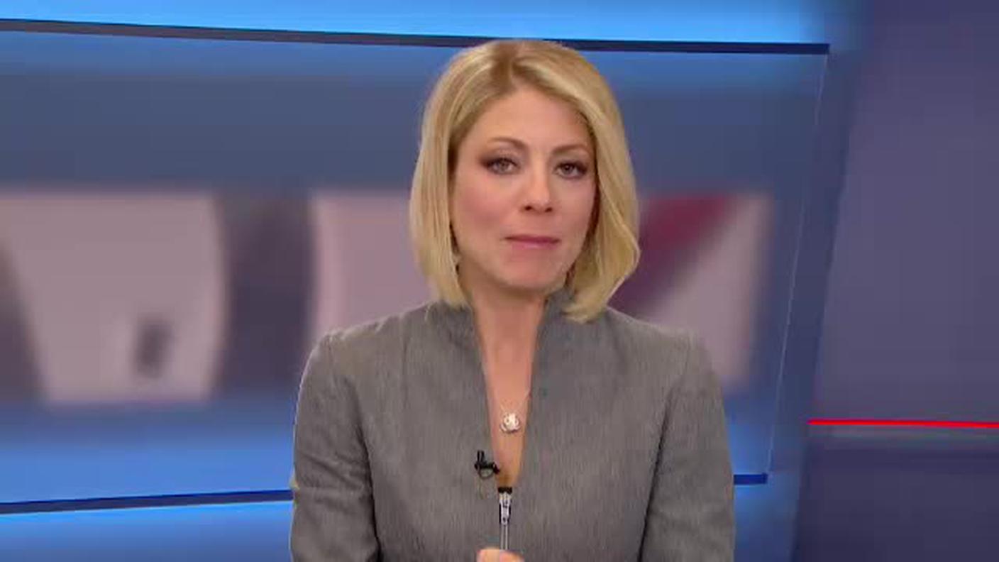  TELEGIORNALE  [La1] 2016-12-28 20:00:11