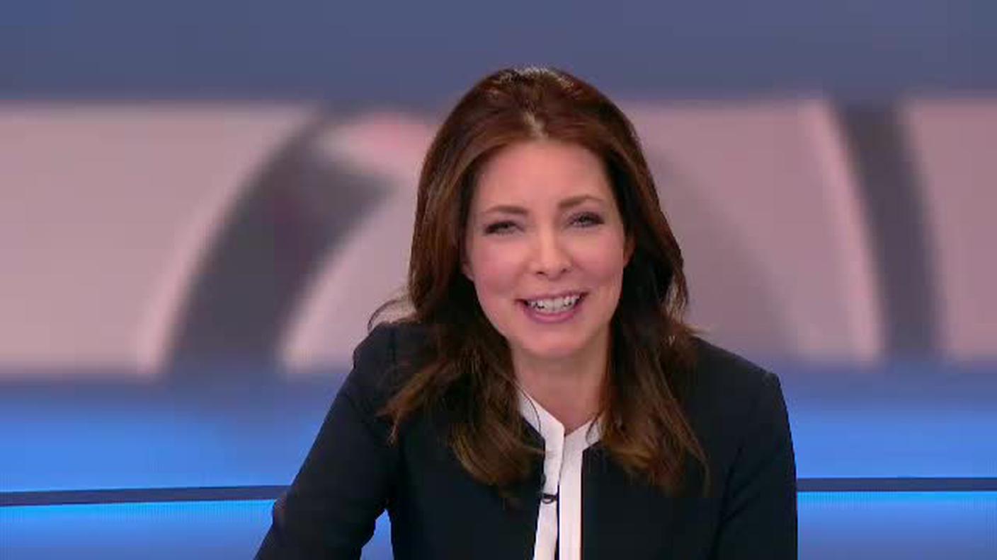  TELEGIORNALE  [La1] 2017-01-06 20:00:11