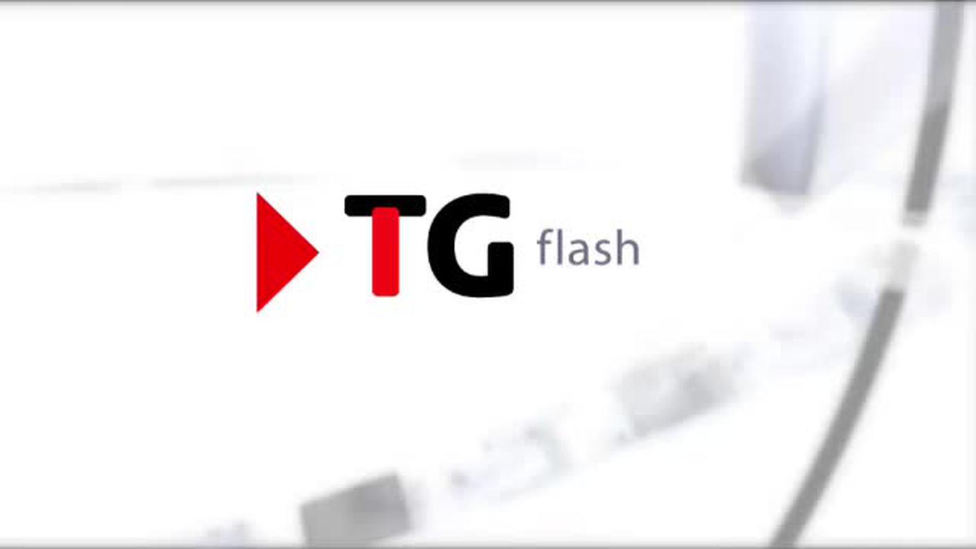  TELEGIORNALE FLASH 16:00  [La1] 2017-01-13 16:00:00