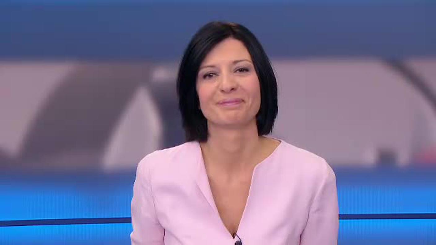  TELEGIORNALE  [La1] 2017-01-14 20:00:11