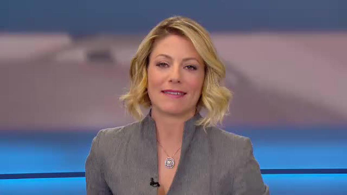  TELEGIORNALE  [La1] 2017-02-07 20:00:11