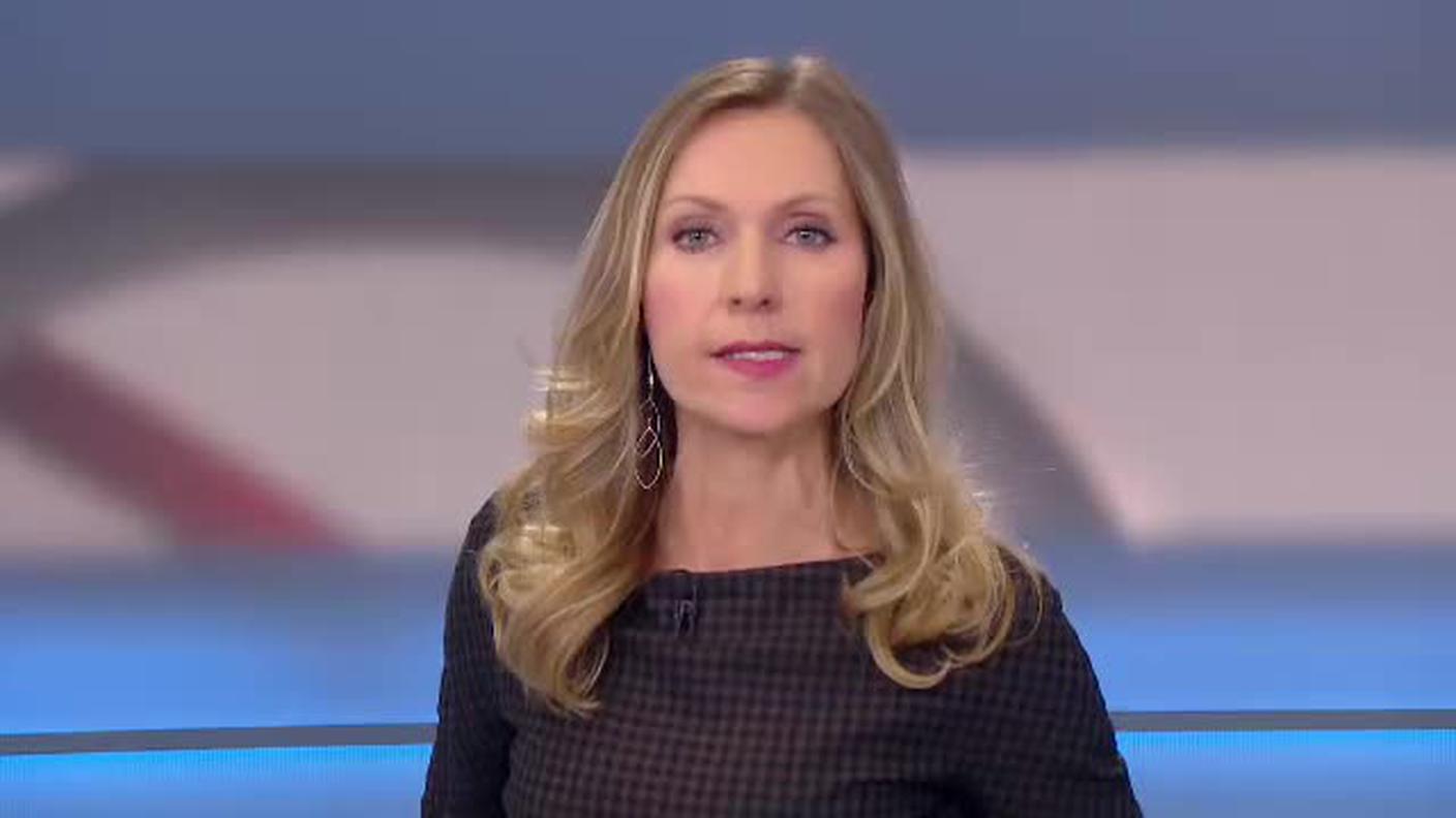  TELEGIORNALE 12:30  [La1] 2017-03-29 12:30:00
