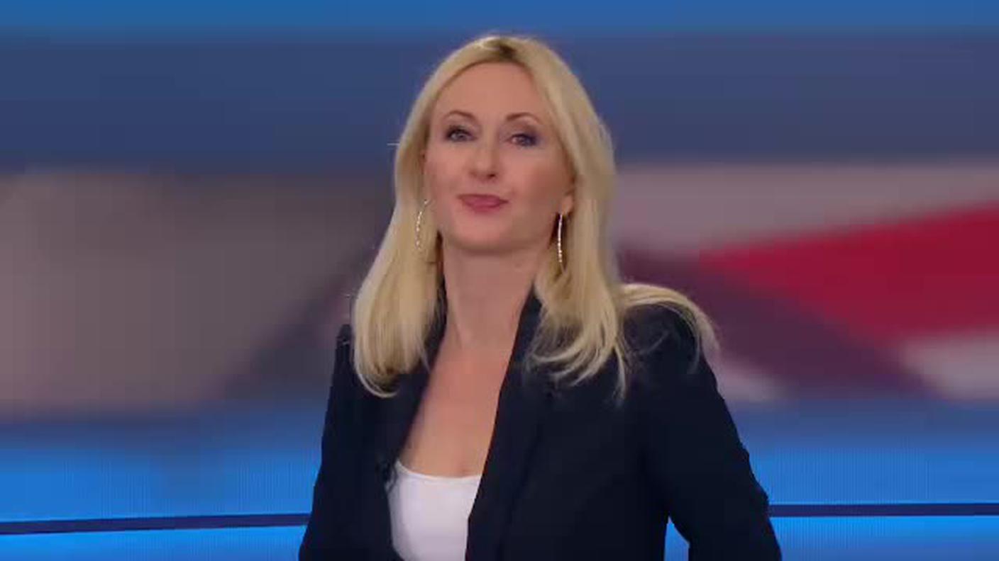  TELEGIORNALE  [La1] 2017-04-06 20:00:11