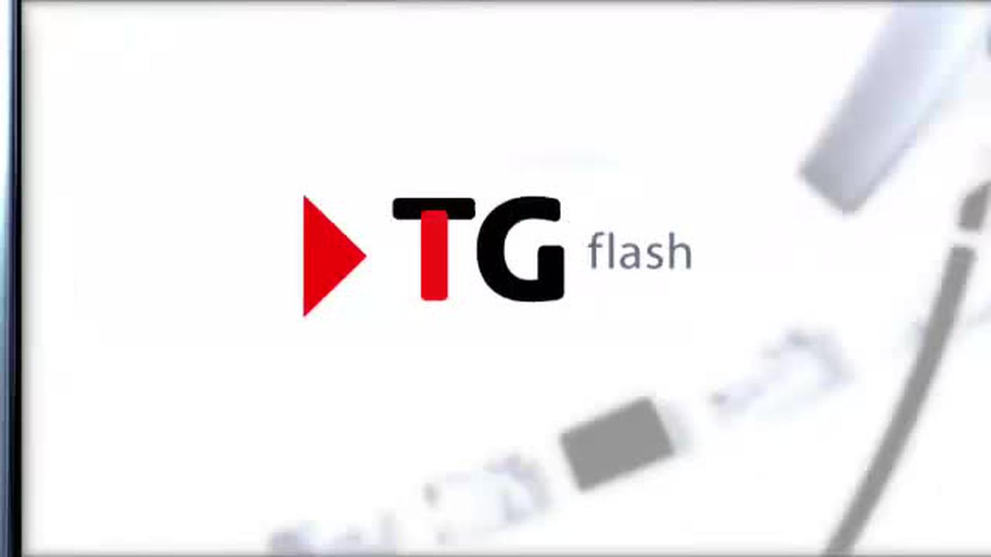  TELEGIORNALE FLASH 16:00  [La1] 2017-04-14 16:00:00