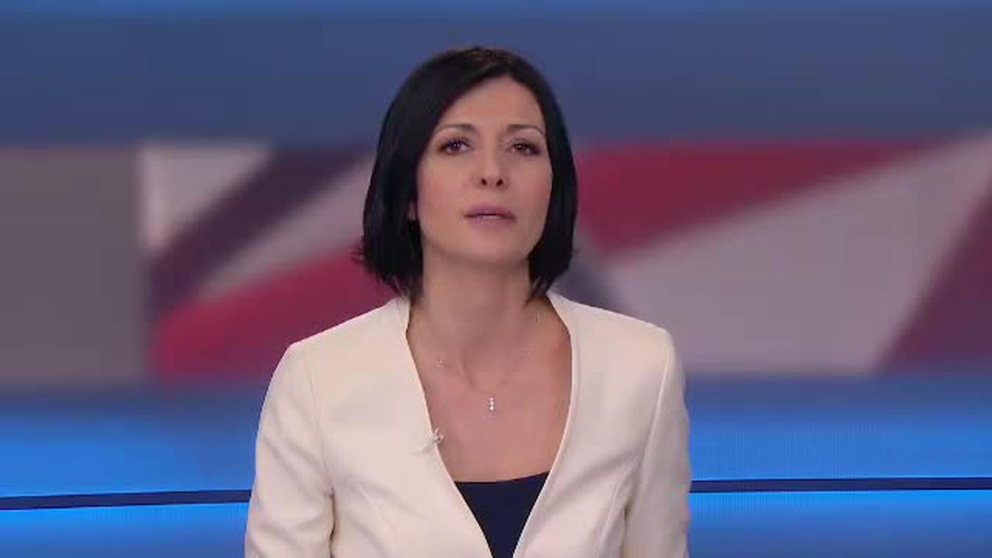  TELEGIORNALE  [La1] 2017-04-14 20:00:11