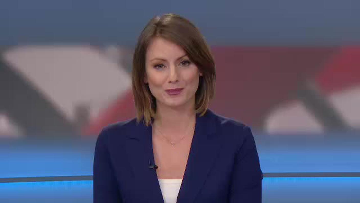  TELEGIORNALE 12:30  [La1] 2017-04-25 12:30:00