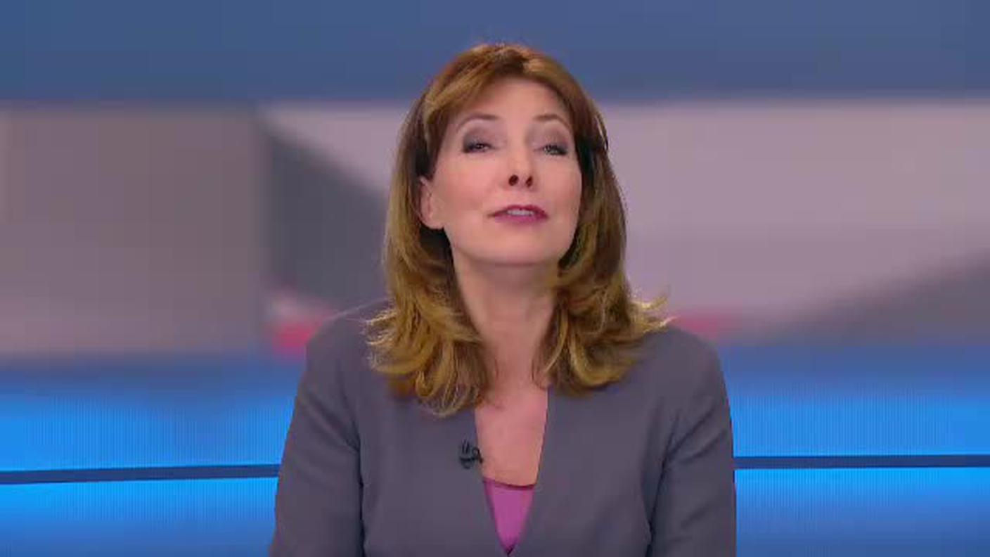  TELEGIORNALE  [La1] 2017-04-25 20:00:11