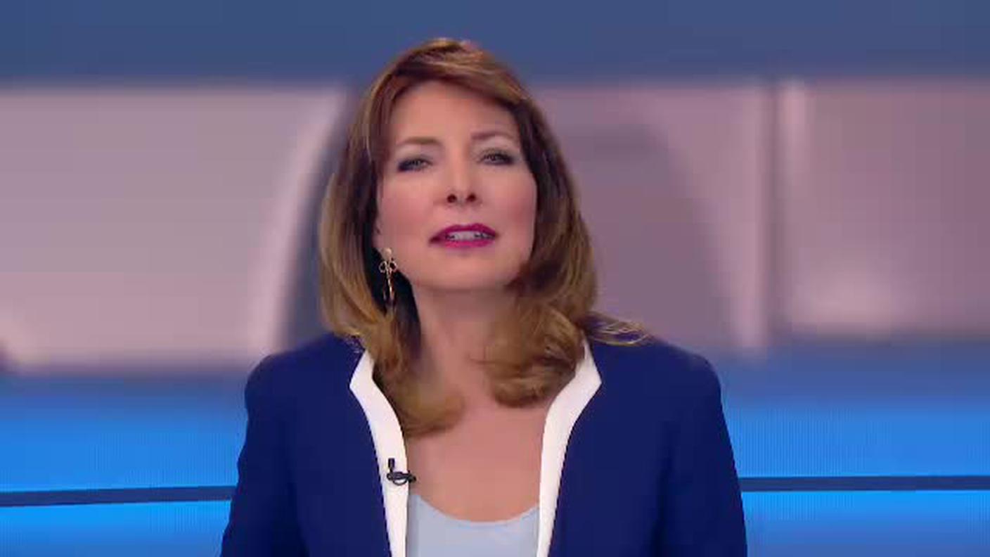  TELEGIORNALE  [La1] 2017-04-26 20:00:11