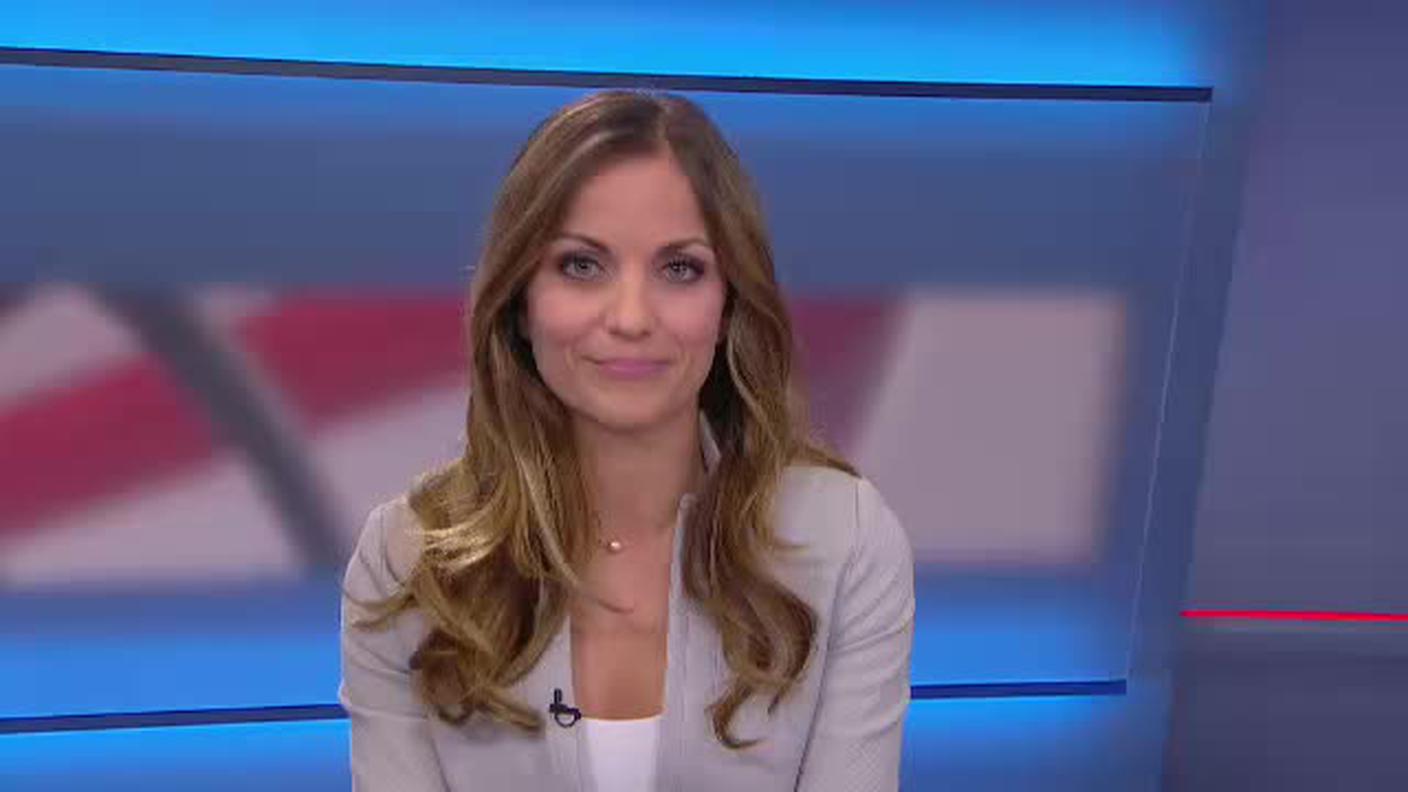  TELEGIORNALE  [La1] 2017-04-29 20:00:11
