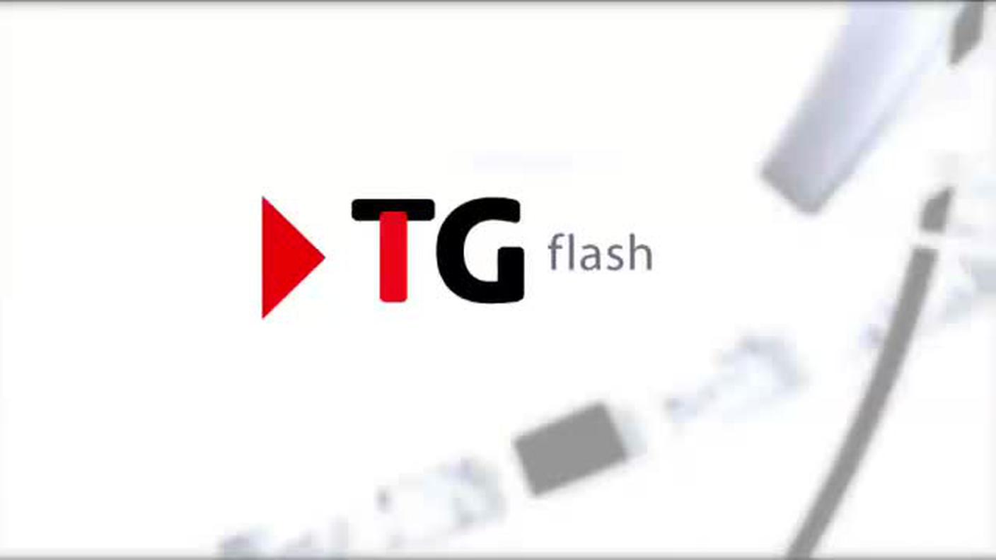  TELEGIORNALE FLASH 16:00  [La1] 2017-05-13 16:00:00