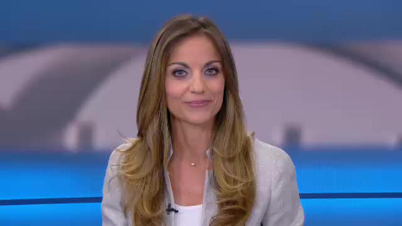  TELEGIORNALE  [La1] 2017-05-16 20:00:11