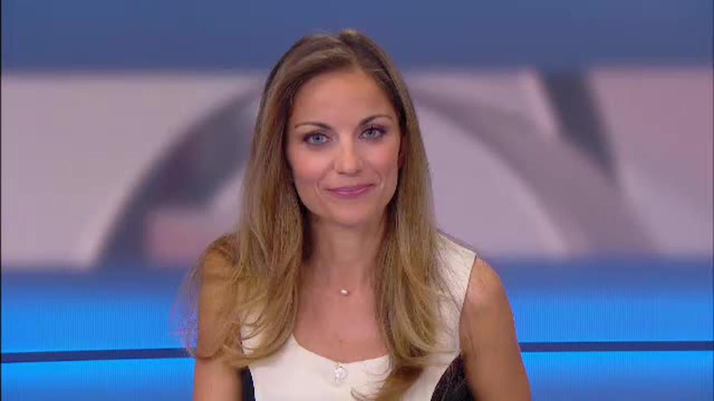  TELEGIORNALE  [La1] 2017-05-17 20:00:42