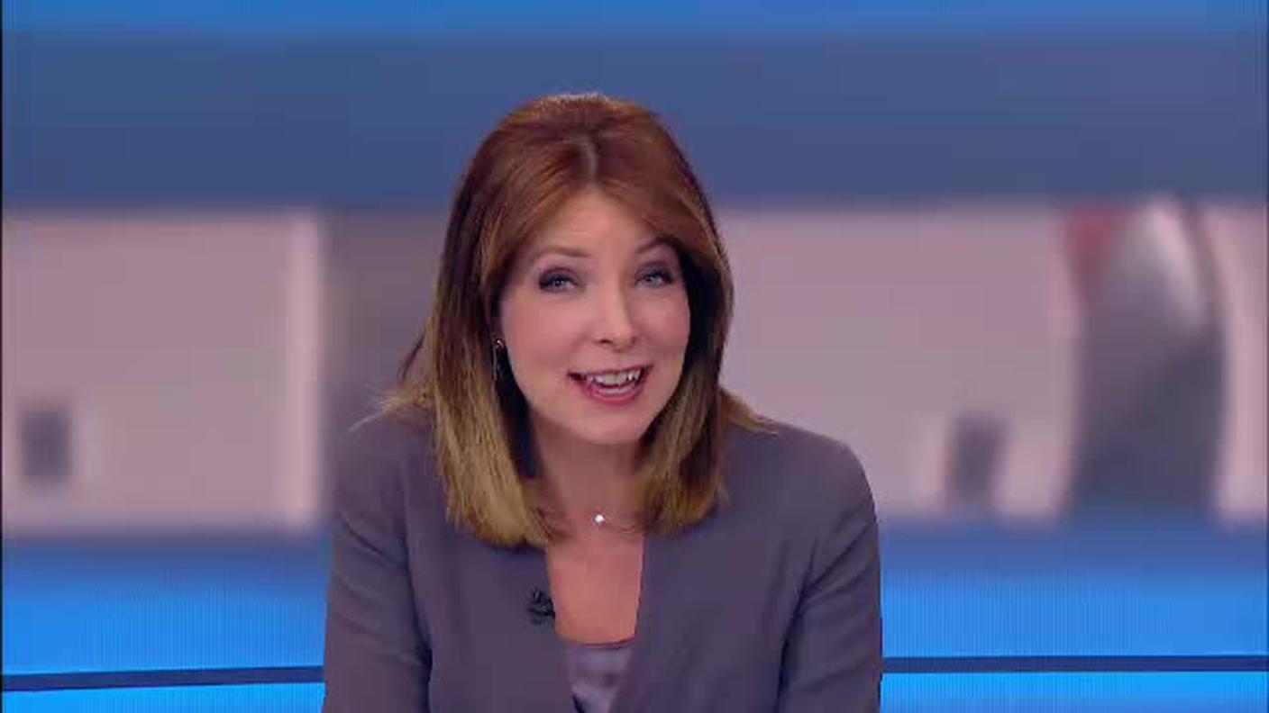  TELEGIORNALE  [La1] 2017-05-21 20:00:11