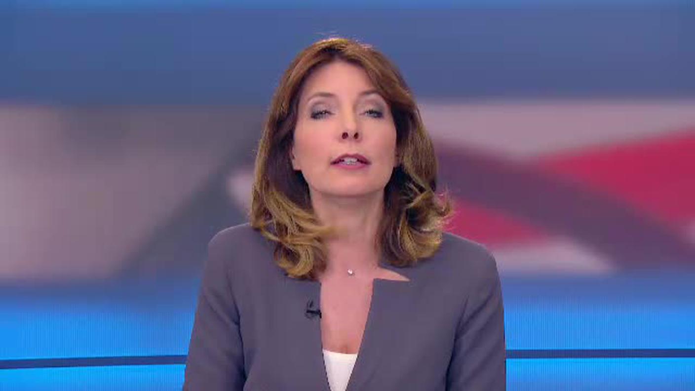  TELEGIORNALE  [La1] 2017-05-29 20:00:11
