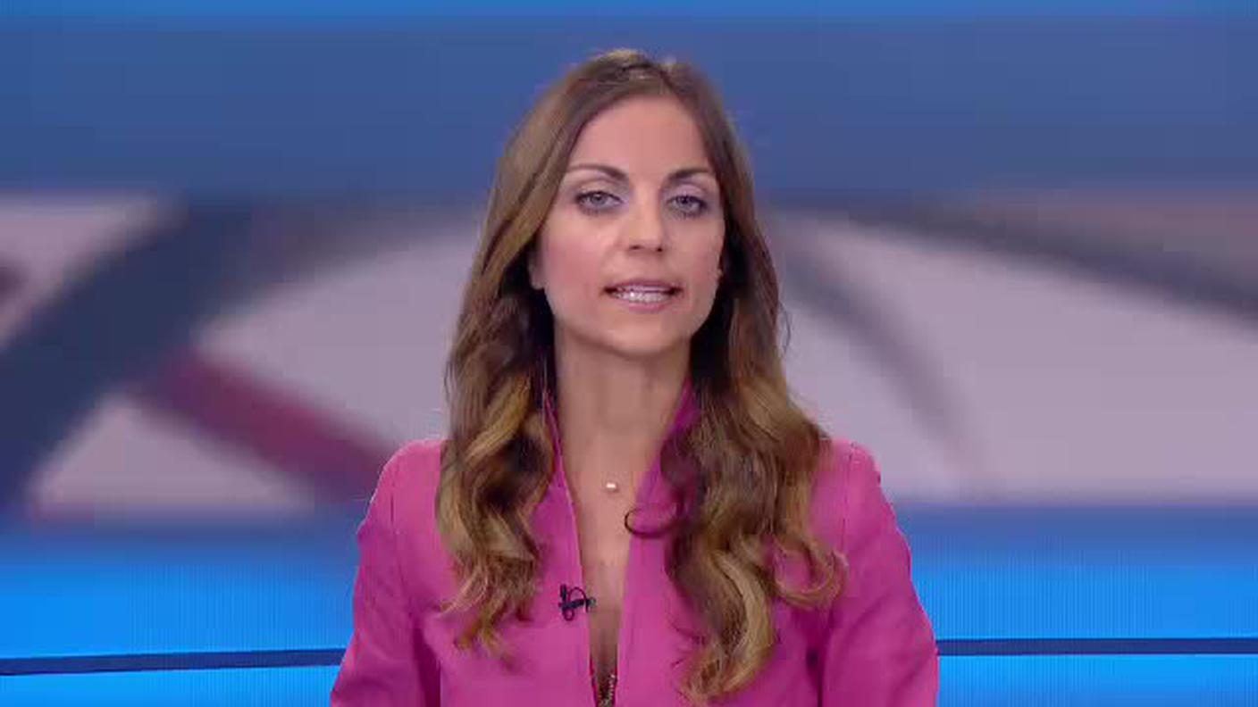  TELEGIORNALE  [La1] 2017-06-06 20:00:11