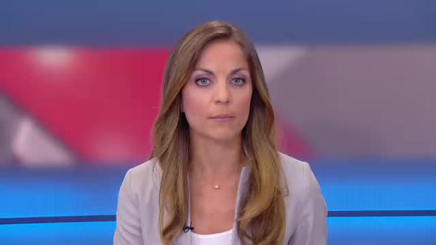  TELEGIORNALE  [La1] 2017-06-07 20:00:11