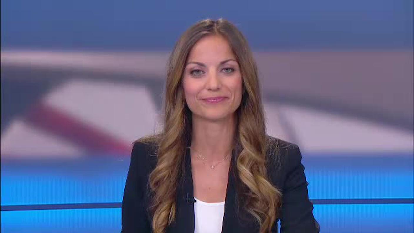  TELEGIORNALE  [La1] 2017-06-17 20:00:11